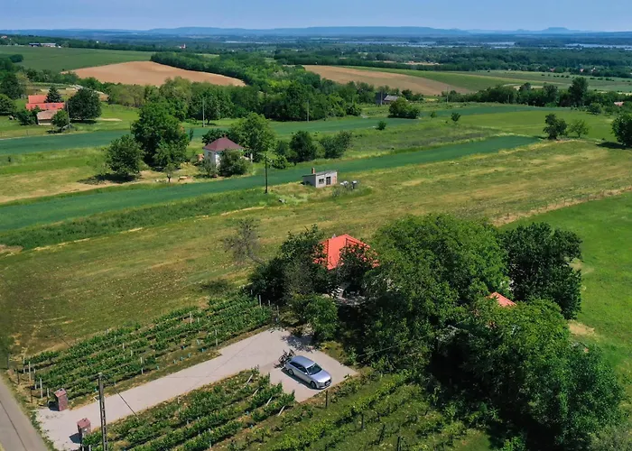 Vilă Villapince *